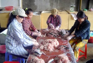 Món ngon đậm hồn quê của Bình Định